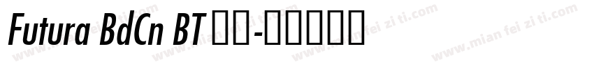 Futura BdCn BT 普通字体转换